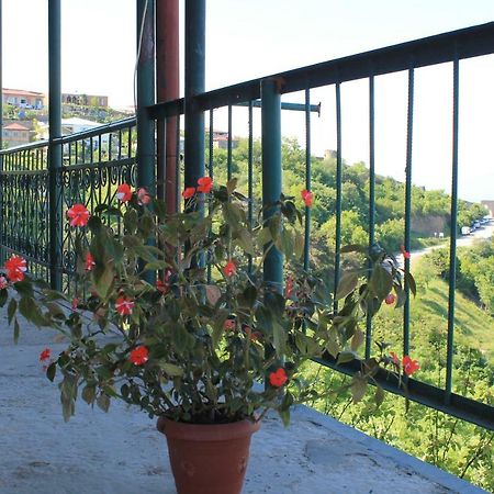 Guest House Shota Сигнахи Екстериор снимка
